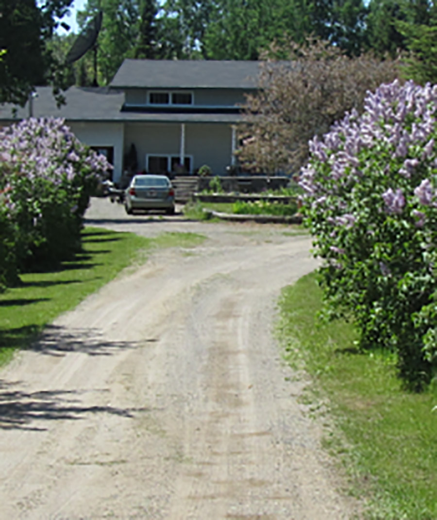 Dog and Cat Kennel Boarding in Thunder Bay